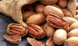 Pikan cevizinin sağlığa faydaları ve tüketim uyarısı