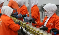 Türkiye'nin turşu ihracatı 301 milyon doları aştı