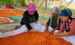 Uşaklı kadınlar imece usulü üretimle tarhanayı sofralara taşıyor