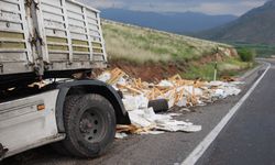 Afyonkarahisar'da şarampole devrilen tırdaki 2 kişi yaralandı