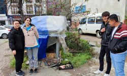 Gençlerden sokak hayvanlarına barınak