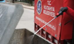 Kütahya’da ilaçlama çalışmaları sürüyor