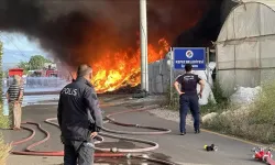 Antalya'da geri dönüşüm deposunda çıkan yangın seralara sıçradı