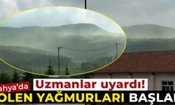 Polen Yağmurları Başladı, Uzmanlar alerjisi olanları uyardı...