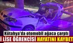 Kütahya'da trafik kazası 2 ölü, 1 yaralı