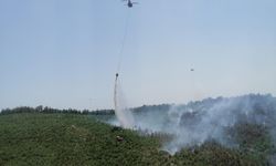İzmir'de çıkan orman yangını kontrol altına alındı