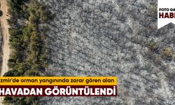 İzmir'de orman yangınında zarar gören alan havadan görüntülendi