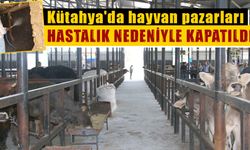 Kütahya'da şap hastalığı nedeniyle hayvan pazarları kapatıldı