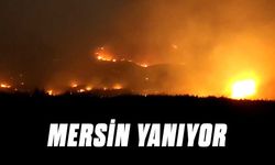 Mersin Gülnar'da orman yangını