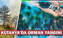 Kütahya’da orman yangınına anında müdahale edildi 