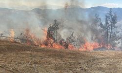 Kahramanmaraş'ta Orman yangınına müdahale ediliyor