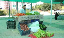 Tavşanlı köy pazarı vatandaşların gözdesi oldu