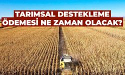 Tarımsal destekleme ödemesi ne zaman olacak?