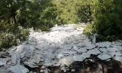 Kütahya’da sosyal medyada yayınlandı, yetkililer harekete geçti 