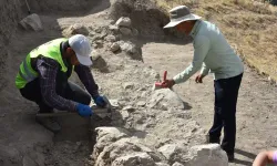 Afyonkarahisar'da büyük bir kedi türüne ait kemik bulundu