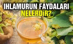 Ihlamurun faydaları nelerdir?