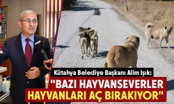 Belediye Başkanı Işık, bazı hayvan severlere tepki gösterdi