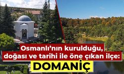 Osmanlı’nın kurulduğu, doğası ve tarihi ile öne çıkan Kütahya ilçesi: Domaniç