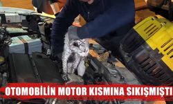 Kütahya’da otomobilin motoruna sıkışan kedi kurtarıldı 