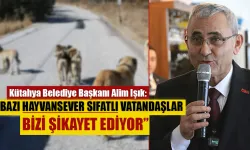 Belediye Başkanı Alim Işık, hayvanseverleri eleştirdi