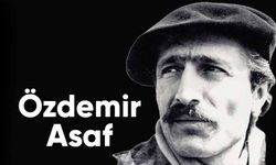 Hayata şiirin gözlüğüyle bakan şair: Özdemir Asaf