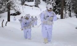 Kahramanlar-44 operasyonlarında 18 terör barınağı imha edildi