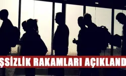 Türkiye'de işsizlik rakamları açıklandı