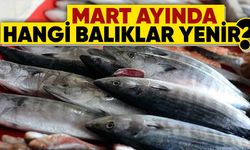 Mart Ayında Hangi Balıklar Yenir?