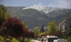 Bursa’da orman yangını çıktı