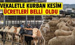 Vekaletle kurban kesim fiyatları açıklandı 