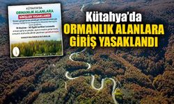 Kütahya'da ormanlık alanlara giriş yasaklandı