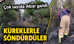 Kütahya’daki ot yangınını mahalleli ve itfaiye söndürdü