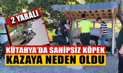 Kütahya’da sahipsiz köpek kazaya neden oldu: 2 yaralı