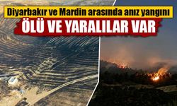 Diyarbakır ve Mardin arasında anız yangını: 5 ölü, 28 yaralı