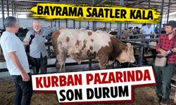 Kütahya kurban pazarında hareketlilik sürüyor