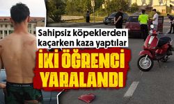 Kütahya'da kampüste köpekler kazaya neden oldu