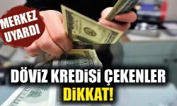 Merkez Bankası döviz kredisi hakkında uyardı