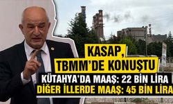 SP Kütahya Milletvekili Ali Fazıl Kasap, termik santralle ilgili TBMM'de konuştu