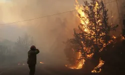 Yunanistan'dan, yangın söndürmeye katılanlara teşekkür