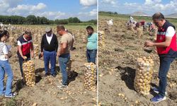 Kütahya Altıntaş’ta patates hasatları kontrol edildi