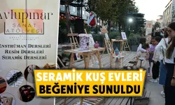 Kütahya’da seramik kuş evleri tam not aldı 