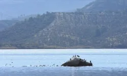 Bafa Gölü'nde kuraklık sebebiyle 30 metre çekilme yaşandı