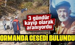 Kütahya'da kayıp olarak aranıyordu, ölü bulundu