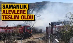 Kütahya’daki yangında samanlık kül oldu