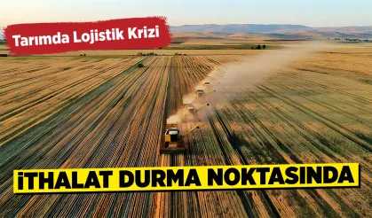 Tarım piyasalarında tedarik zinciri yavaşlıyor