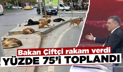 Bakan Çiftçi: Sokak hayvanlarının yüzde 75’i toplandı