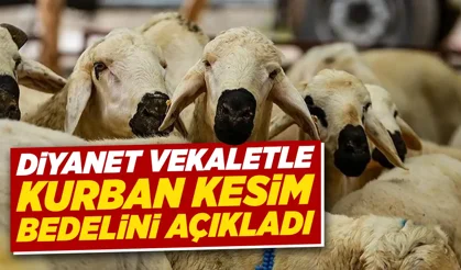 Diyanet, 2026 yılı vekaletle kurban kesim bedelini açıkladı