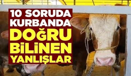 10 soruda kurban ibadeti: Doğru bilinen yanlışlar