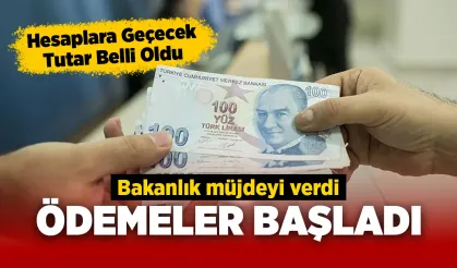 Bakanlık duyurdu! Ödemeler yatırılmaya başladı