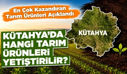 En çok kazandıran tarım ürünleri açıklandı